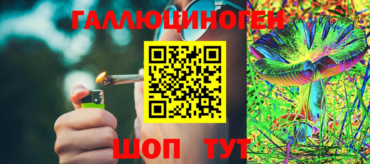 Галлюциногенные грибы Psilocybe Воронеж